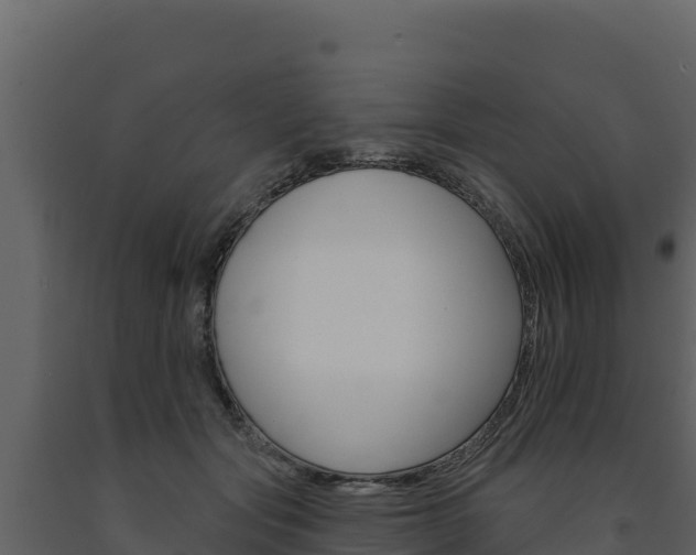 X0000091720557200708241023