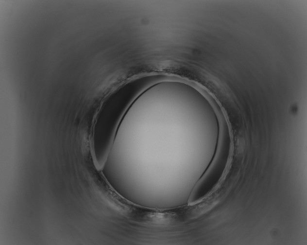 X0000091720558200708241023