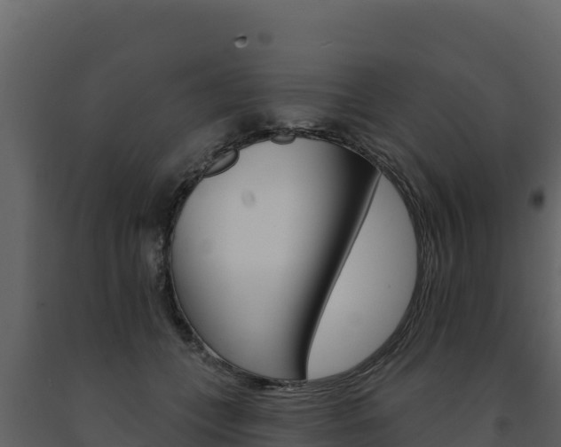 X0000091720559200708241023