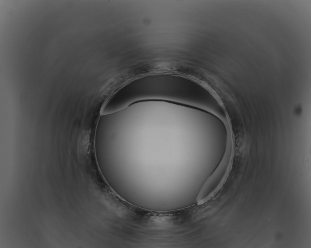 X0000091720560200708241023
