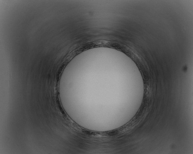 X0000091720561200708241023
