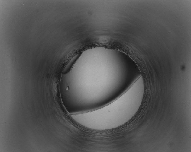 X0000091720562200708241023