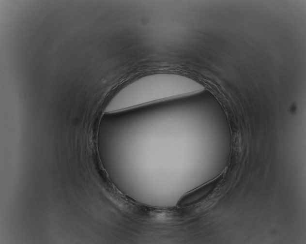 X0000091720564200708241023