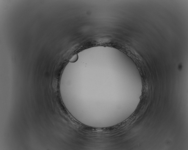 X0000091720565200708241023