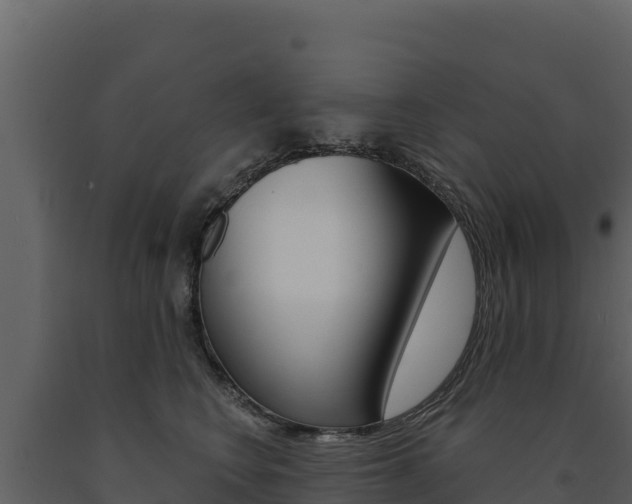 X0000091720566200708241023