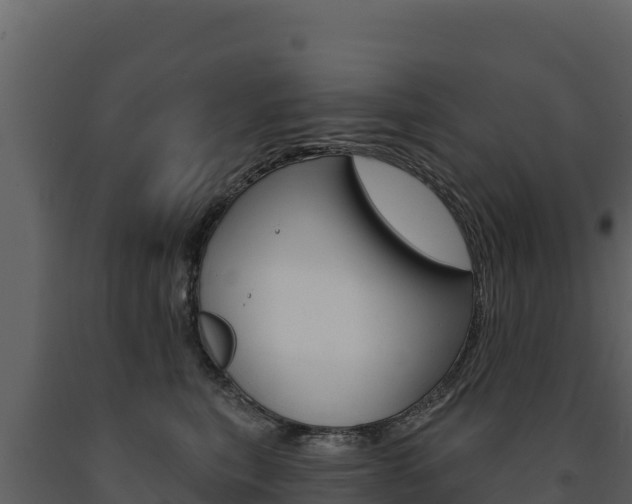 X0000091720567200708241023