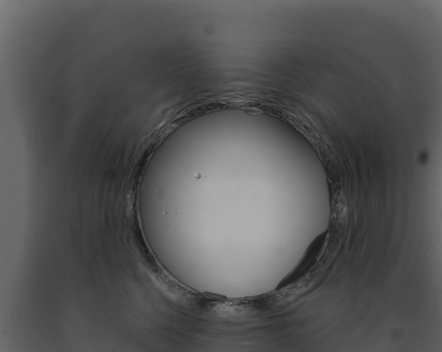 X0000091720568200708241023