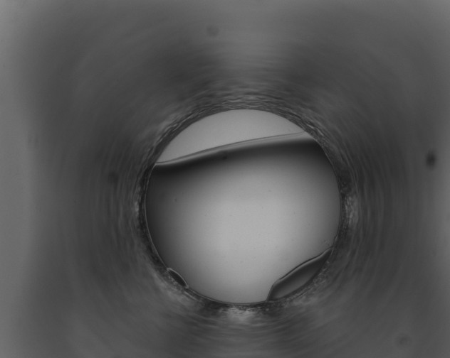 X0000091720570200708241023