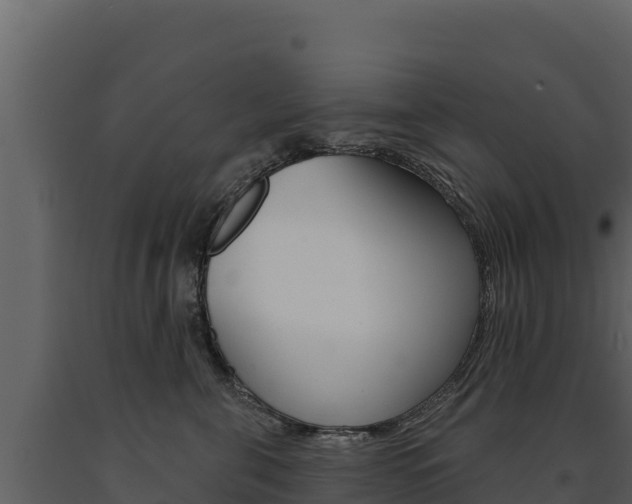 X0000091720571200708241023