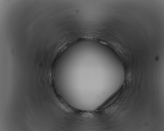 X0000091720572200708241023