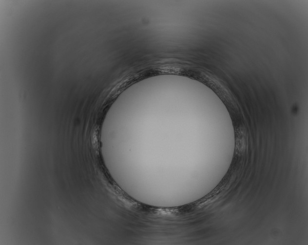 X0000091720573200708241023