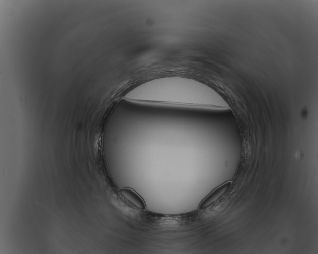 X0000091720574200708241023