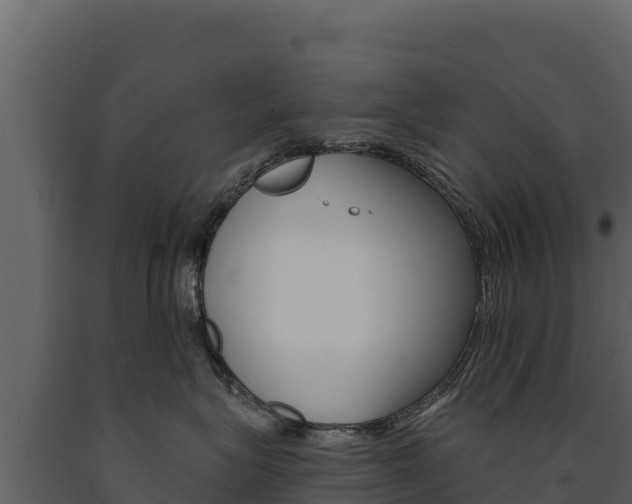 X0000091720575200708241023