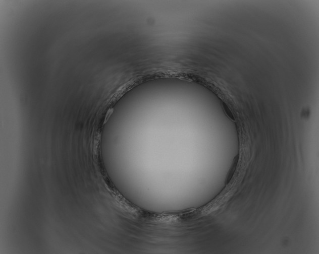 X0000091720576200708241023