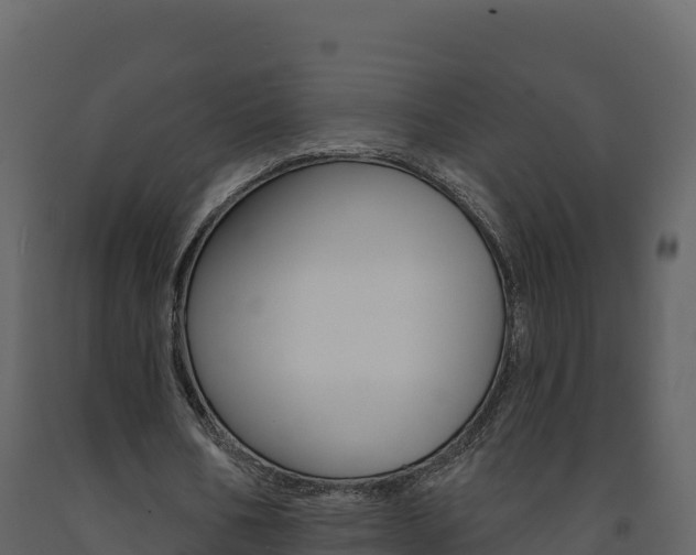 X0000091720578200708241022