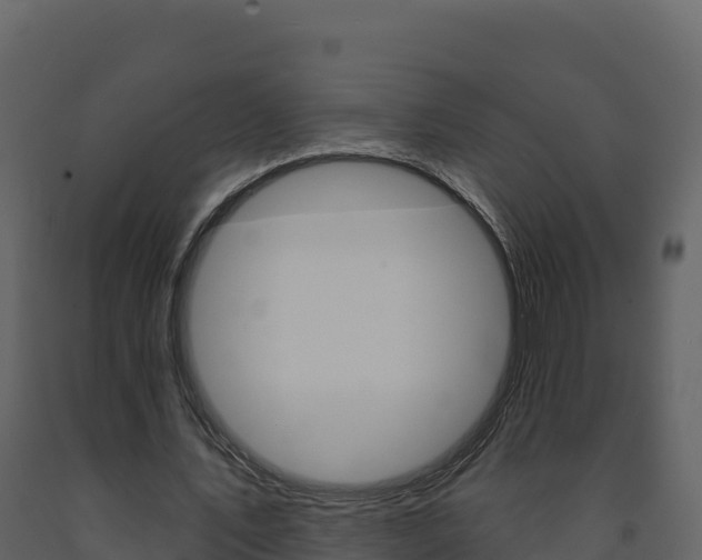 X0000091720579200708241022