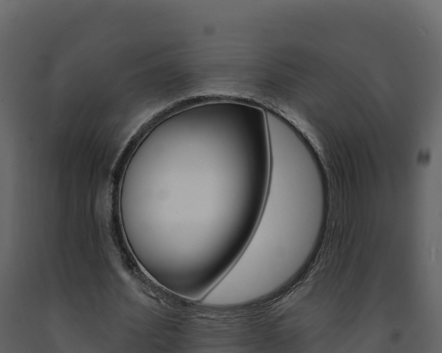 X0000091720580200708241022