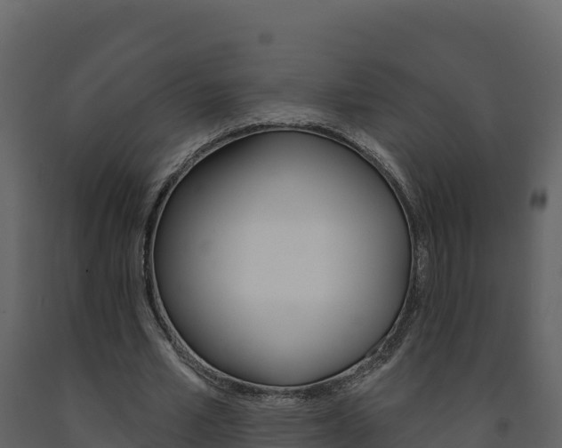 X0000091720581200708241022