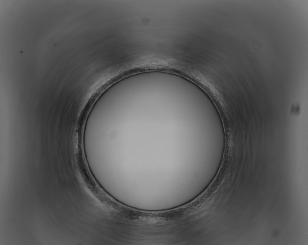 X0000091720582200708241022