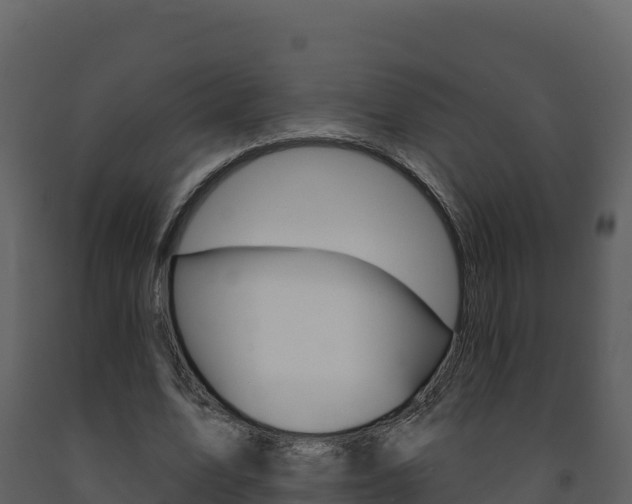 X0000091720583200708241022