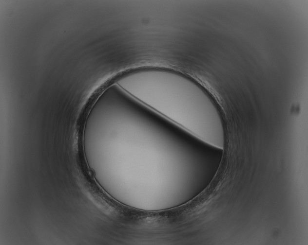 X0000091720584200708241022