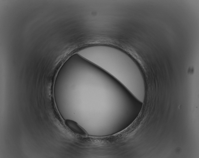 X0000091720585200708241022