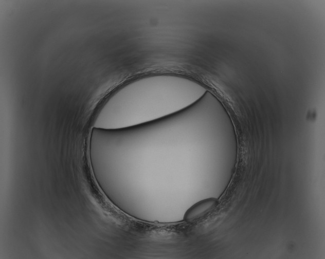 X0000091720586200708241022
