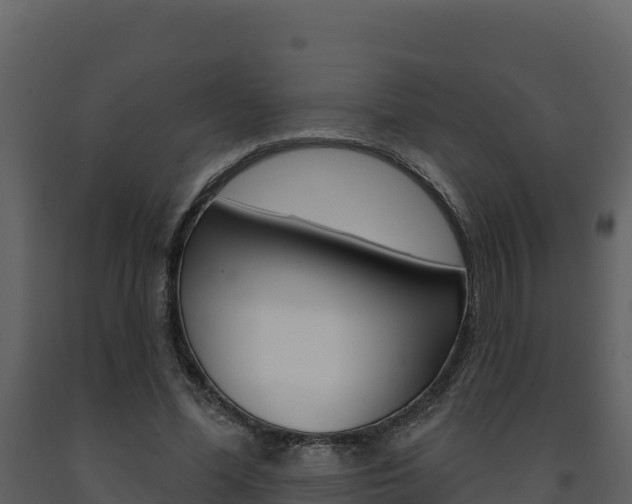 X0000091720588200708241022