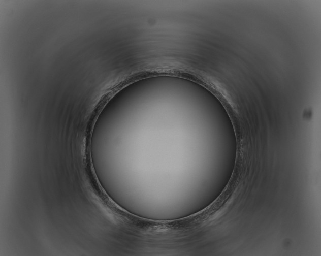 X0000091720589200708241022
