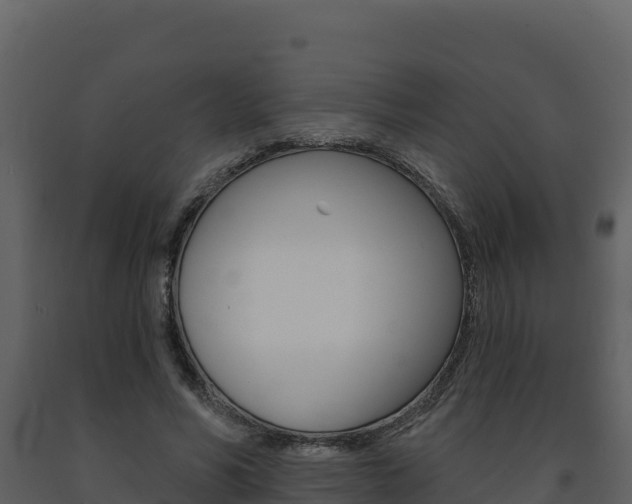 X0000091720590200708241022
