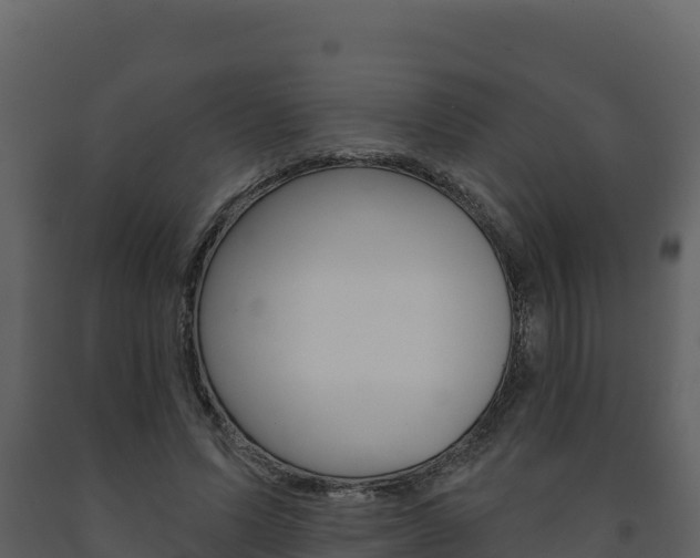 X0000091720591200708241022