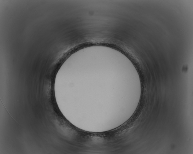 X0000091720592200708241022