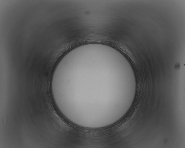 X0000091720593200708241022