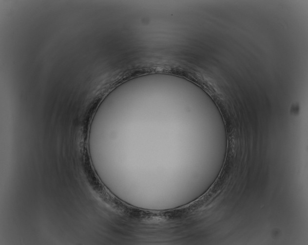 X0000091720594200708241022