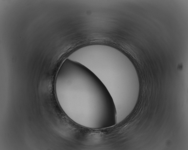 X0000091720595200708241022