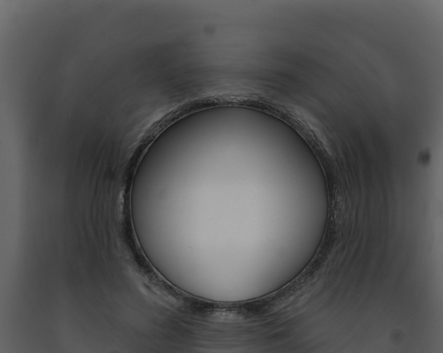 X0000091720596200708241022