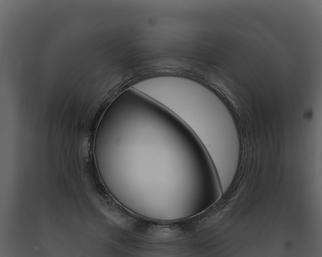 X0000091720597200708241022