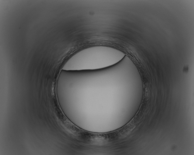 X0000091720598200708241022
