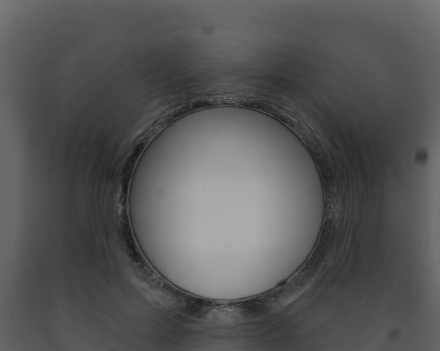 X0000091720599200708241022