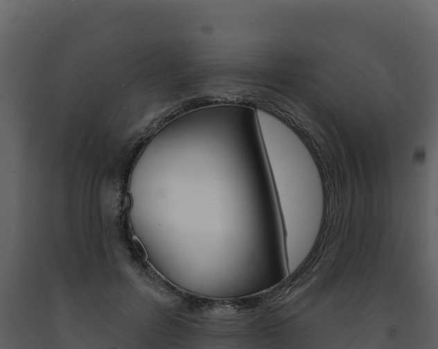 X0000091720600200708241022