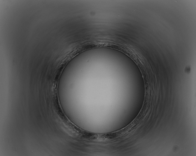 X0000091720601200708241022