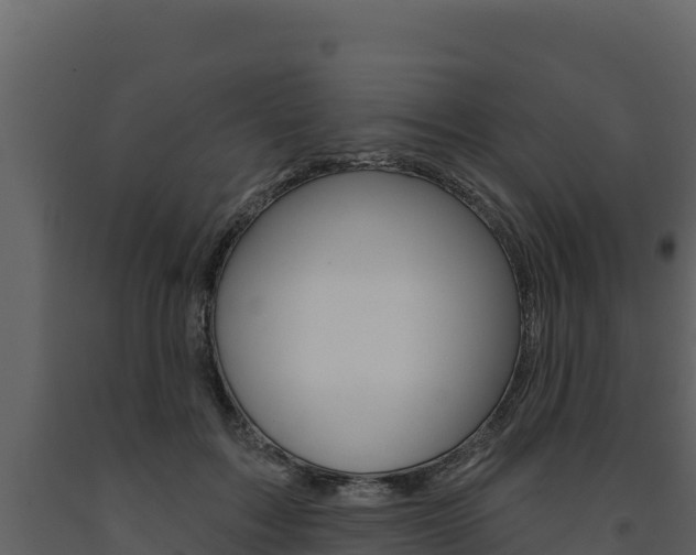 X0000091720603200708241022