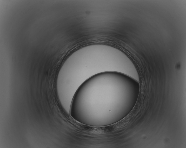X0000091720604200708241022