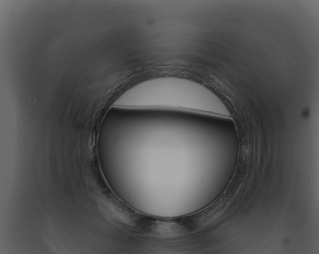 X0000091720605200708241022