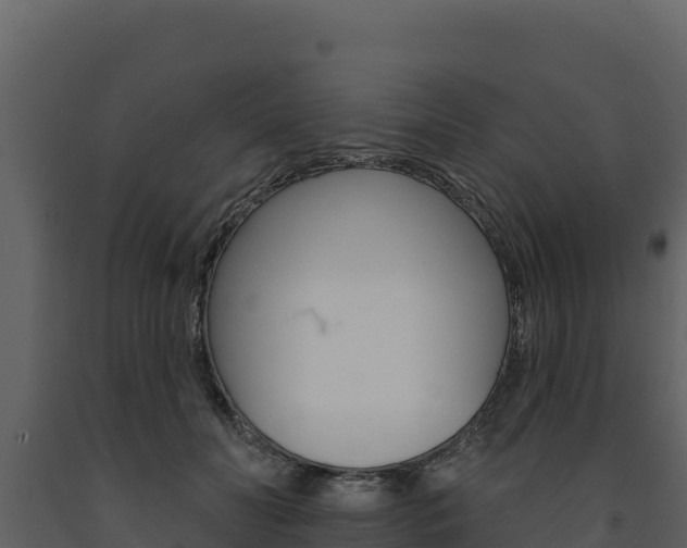 X0000091720606200708241022
