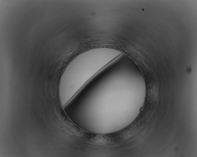 X0000091720608200708241022