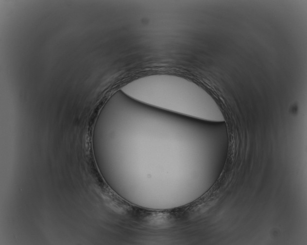 X0000091720609200708241022