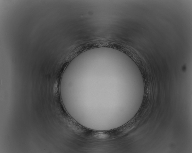 X0000091720610200708241022