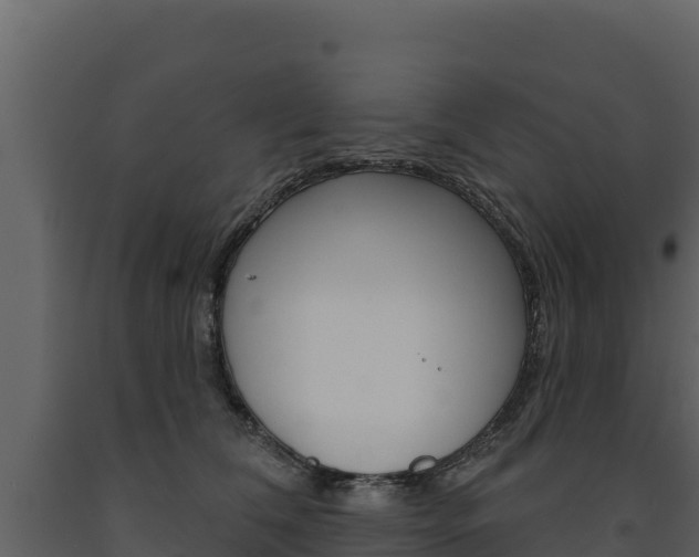 X0000091720612200708241022