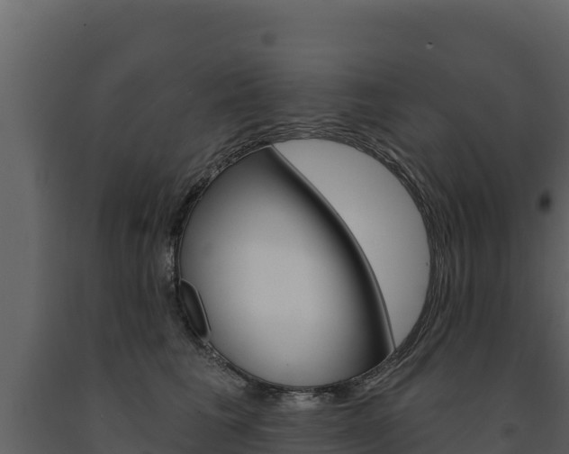 X0000091720613200708241022